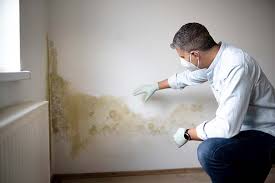 Trusted Conway, PA Mold Removal Experts